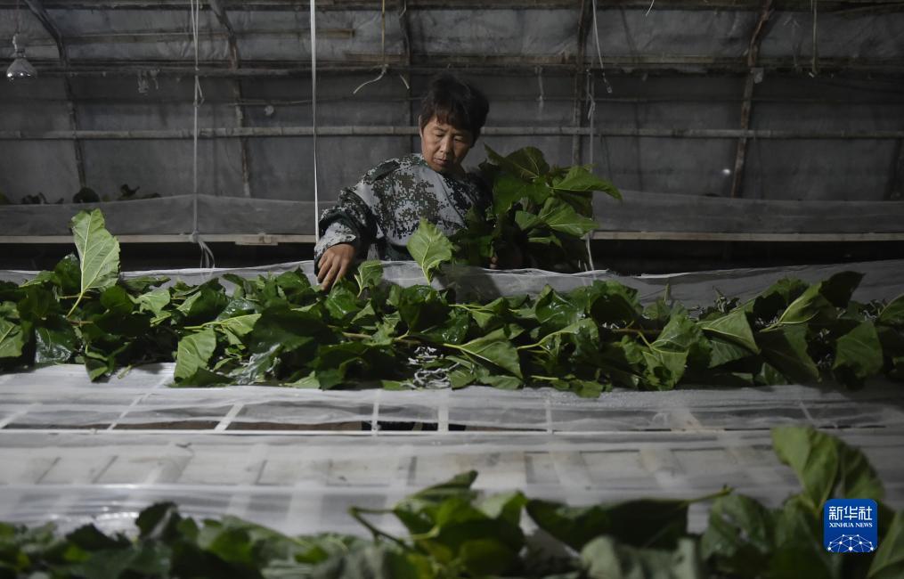 45游戏中心下载